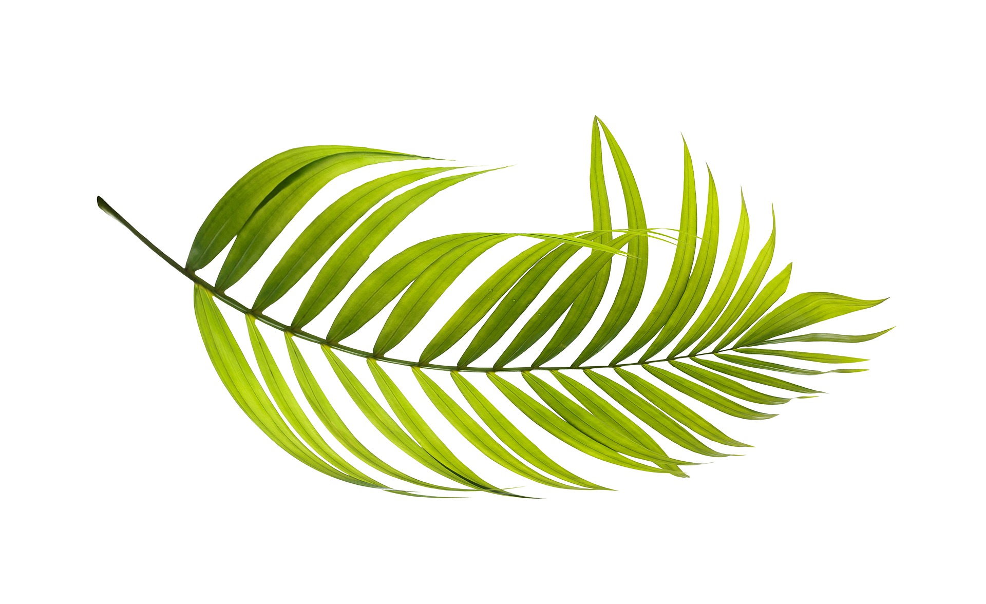 朵唯201906型号手机(朵唯手机怎么样好用吗——详尽测评报告)
